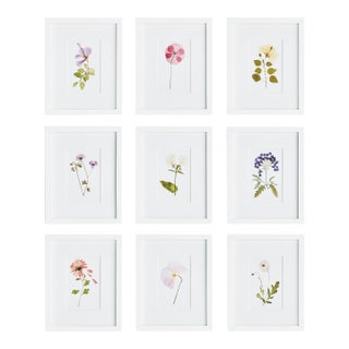 Mountain Flower Petite Prints, Set Of 9 For Sale