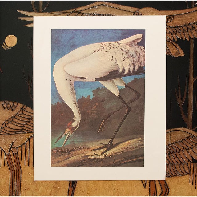 Cream Whooping Crane After Audubon, 1966 Cottage Style Print For Sale - Image 8 of 10