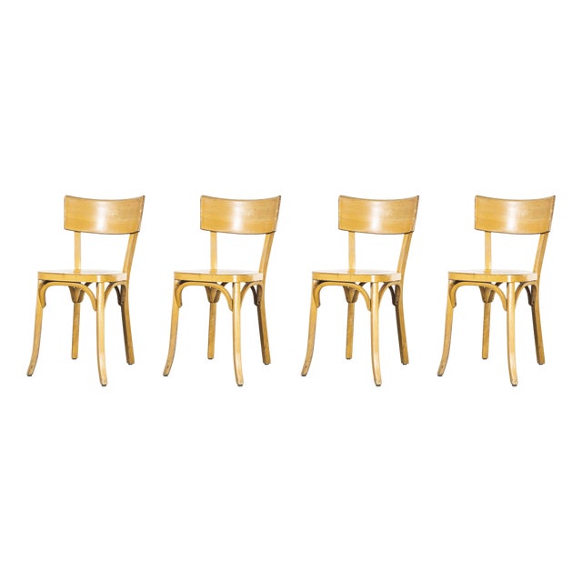French Blonde Beech Bentwood Dining Chairs from Baumann, 1950s, Set of 4 For Sale