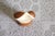 Brown 1980s Wood and Antler Salt and Pepper Shakers For Sale - Image 8 of 9
