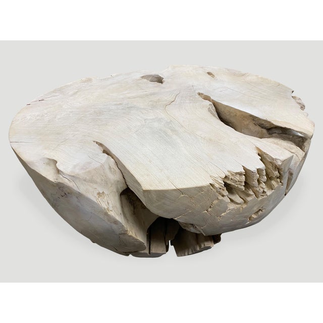 Andrianna Shamaris Round Bleached Teak Wood Coffee Table For Sale - Image 18 of 18