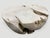 Andrianna Shamaris Round Bleached Teak Wood Coffee Table For Sale - Image 18 of 18