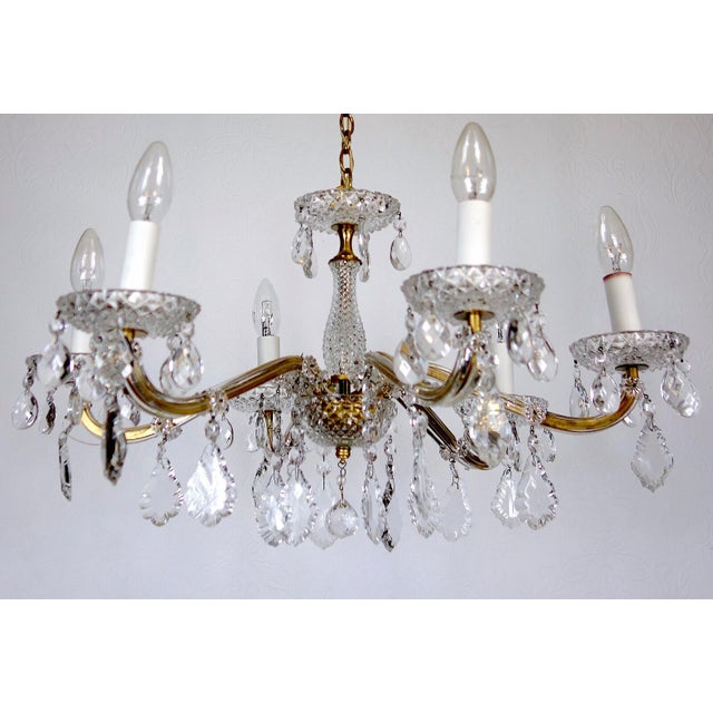 Brass Lead Crystal Chandelier Six Lights from Palwa & Walter, 1960s For Sale - Image 9 of 9