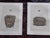 Antique 19th Century Hand Colored Bird Nest & Egg Lithographs - Set of 12 For Sale - Image 4 of 9