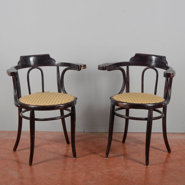 Antique Wooden Armchairs, Early 1900s, Set of 2 For Sale - Image 9 of 9