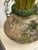 Stone Mid-Century Modern Marmite Faux Grass Arrangement, Vintage For Sale - Image 7 of 12