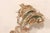 18th Century Italian 18th C. Scrolled Fragment on Stand For Sale - Image 5 of 10