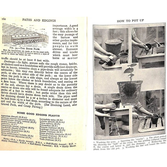 "Ward Lock's Book of Gardening: An Abc of Garden Management" For Sale - Image 4 of 9