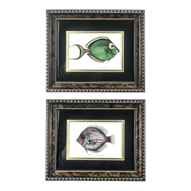 Burl-Wood Framed Pair of Tropical Fish Prints by Jean Cassady For Sale