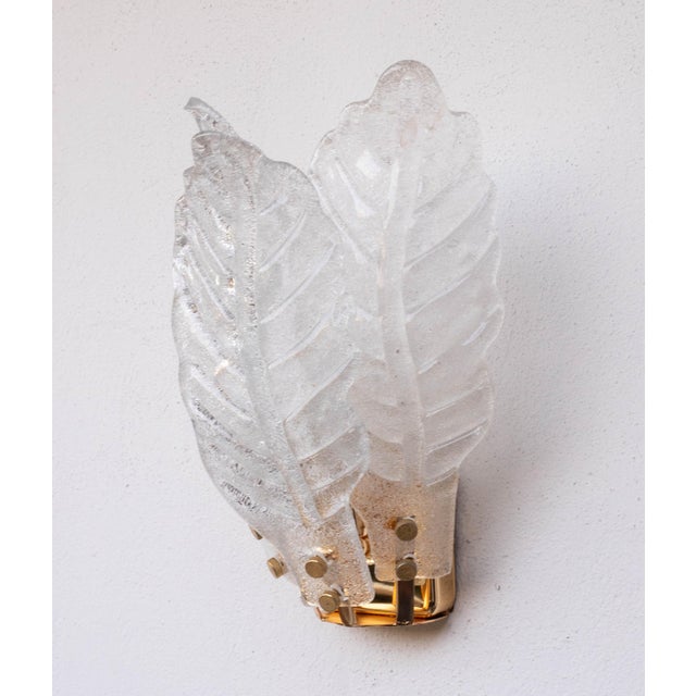 Set of 4 Florence Murano Wall Light Transparent Leaves, 1970 For Sale - Image 4 of 13