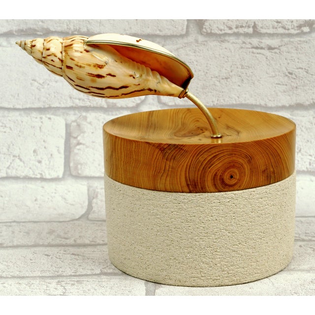 Contemporary “Hydro” Contemporary Sculpture by Isabelle Fustinoni (French Artist) – Natural Shell & Mixed Media For Sale - Image 3 of 8