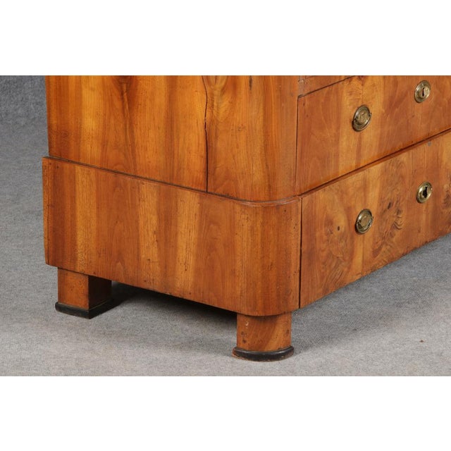 Ancient Biedermeier Walnut Chest of Drawers, 1850s For Sale - Image 9 of 18