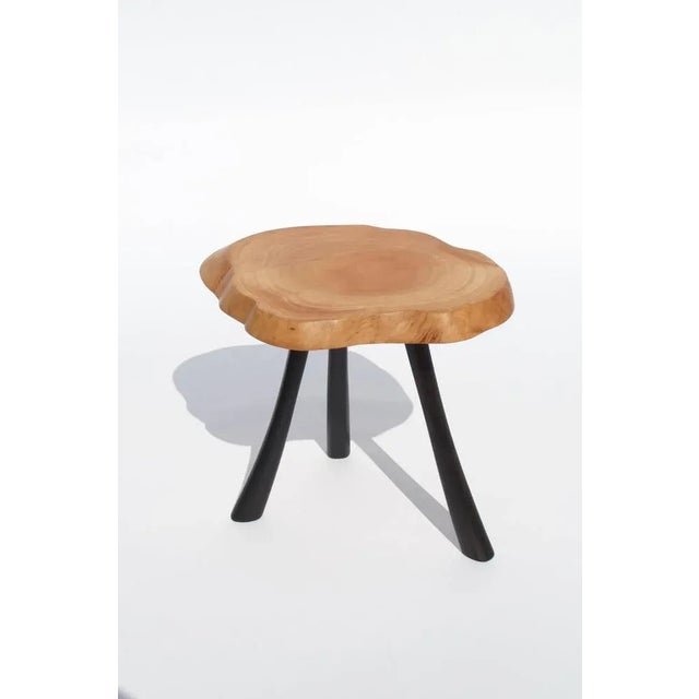 Bog Oak and Olive Table by Jörg Pietschmann For Sale - Image 4 of 7