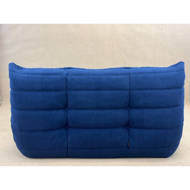Blue Togo Two-Seater Sofa from Ligne Roset, 2010s For Sale - Image 6 of 14