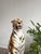 Italian Artist, Large Tiger Statue, Ceramic For Sale - Image 4 of 14
