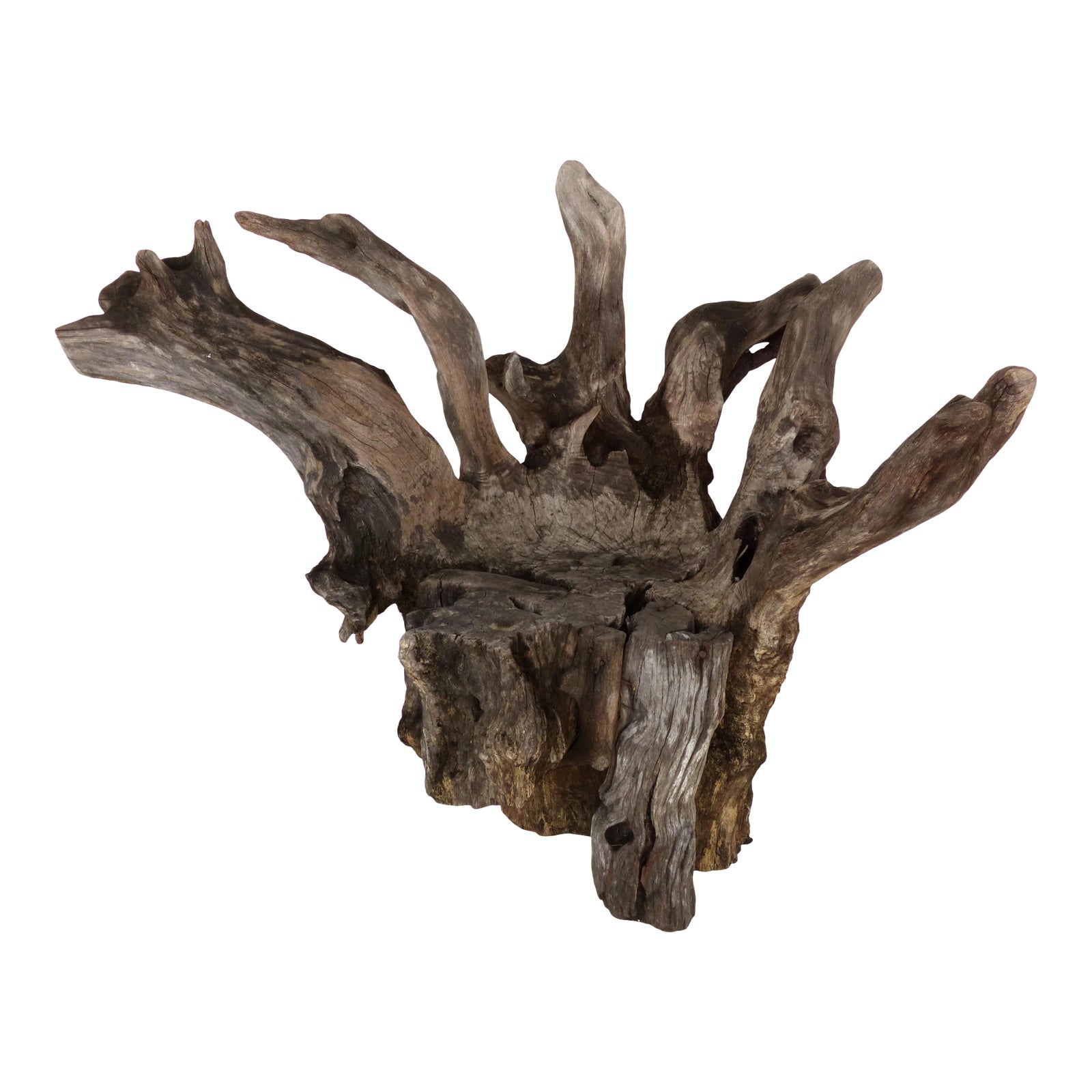 Organic Studio Sculptural Tree Trunk Root Chair | Chairish