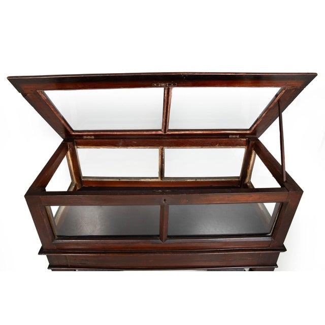 Rare Pair of Anglo-Indian Teak Vitrine Display Tables Cabinets, 19th Century For Sale - Image 9 of 18