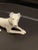 Early 20th Century German Porcelain Figure of a Greyhound Dog, 20th Century For Sale - Image 5 of 8