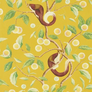 Harlequin Nellie Wallpaper in Honey/Meadow For Sale