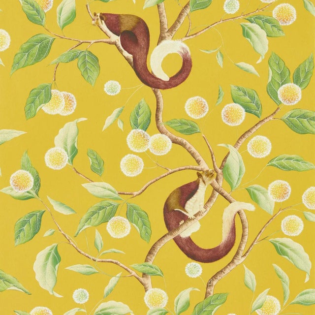 Harlequin Nellie Wallpaper in Honey/Meadow For Sale