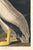 Not Yet Made - Made To Order American White Pelican (Audubon), Vintage Art Print Reproduction, 24″ × 36″ For Sale - Image 5 of 8