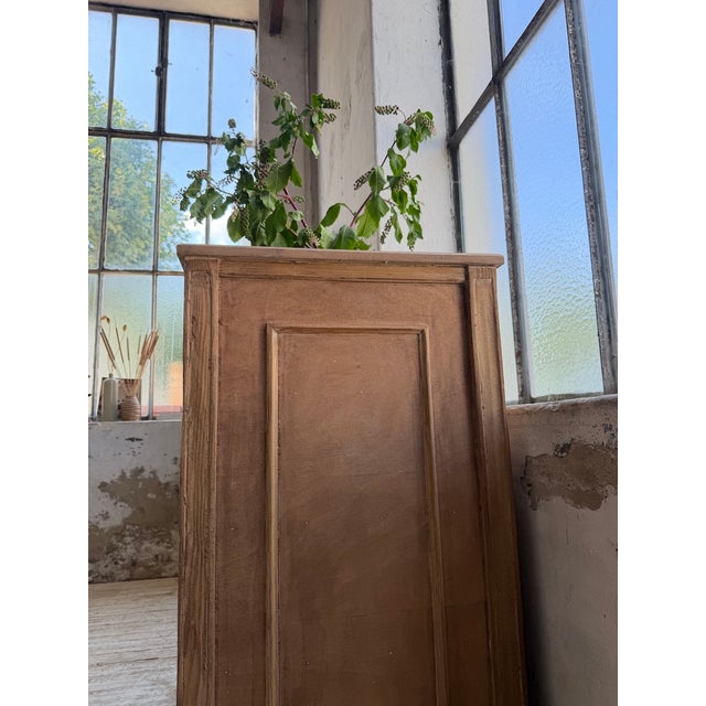 Oak Cabinet with Compartments and Shelves, 1900s For Sale - Image 14 of 18