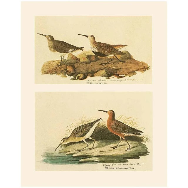 A lovely vintage Cottage, Farmhouse, Rustic, Traditional or American Classical Style reproduction of the original...