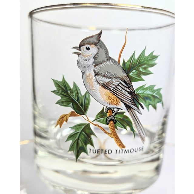 Illustration Birdwatchers Songbird Lowball Glasses- Set of Six For Sale - Image 3 of 12
