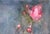 Abstracted Floral Oil Painting -- Magnolias in Morning Mist Evocative and moody floral of pink saucer magnolias by...