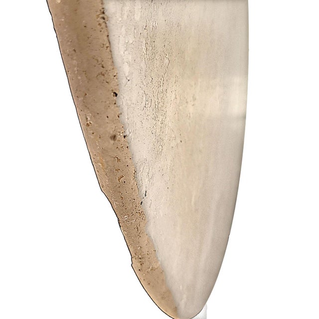 Modern Kreiss Trieste Collection 60" Round Travertine & Wrought Iron Center or Dining Table For Sale - Image 15 of 17