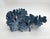 Shell Natural Blue Coral Specimen Coastal Decor For Sale - Image 7 of 9