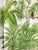1: Commodity: Hand-painted Tropical Toucan Palm Leaf Jungle Wallpaper Mural 2: Handicrafts: 100% handmade and hand-...