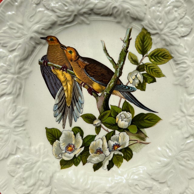 1930s Audubon Small Plates by Alfred Meakin - Set of 8 For Sale - Image 11 of 12