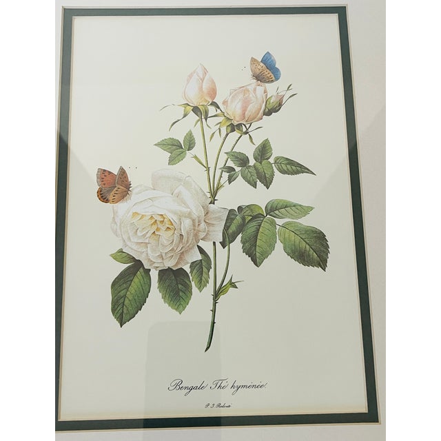 Traditional 1960s P.F.Redoute Vintage Chromolithograph of Roses in Gold Frame For Sale - Image 3 of 4