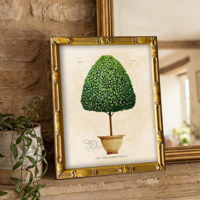 This reproduction giclee is print (1) from our vintage "Topiary Garden" series. Please note there are 4 images in this...