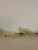 Late 19th Century Yellow Vaseline Glass Slippers For Sale - Image 5 of 7