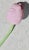 Art Deco German Art Deco Glass Tulip For Sale - Image 3 of 4