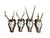 Nice set of 4 roe deer antler trophy plaques. measurement is for largest trophy