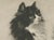 Late 19th Century Henriette Ronner, Three Studies of a Kitten: Cats and Kittens, 1894, Print For Sale - Image 5 of 8