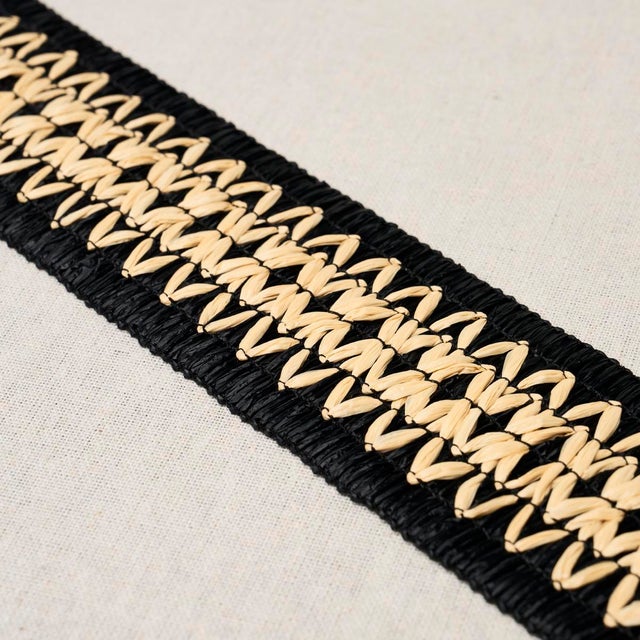 Contemporary SAMPLE - Schumacher Raphiinae Tape In Black For Sale - Image 3 of 3