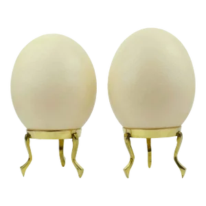 Mid 20th Century Natural Ostrich Egg Shell on Solid Brass Base - Set of 2