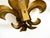 Fleur-De-Lis Wall Lamps in Gold-Plated Metal by Hans Kögl, 1970s, Set of 2 For Sale - Image 17 of 18