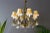 1950s French Louis XVI Style Bronze and Crystal Eight-Light Chandelier For Sale - Image 5 of 18