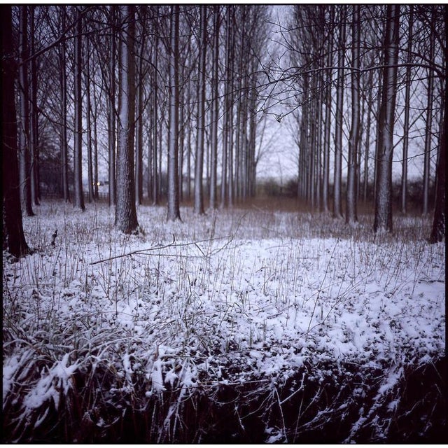 Not Yet Made - Made To Order Paul Cooklin, Snowy Woodland, Beccles, Suffolk, Edition of 50 For Sale - Image 5 of 5