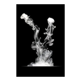 Separated at Birth - Dye Sublimation Photographic Print by George Diebold For Sale