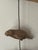 Shell 1960s Florida Coastal Sea Shells Manatee Mobile Sculpture For Sale - Image 7 of 7