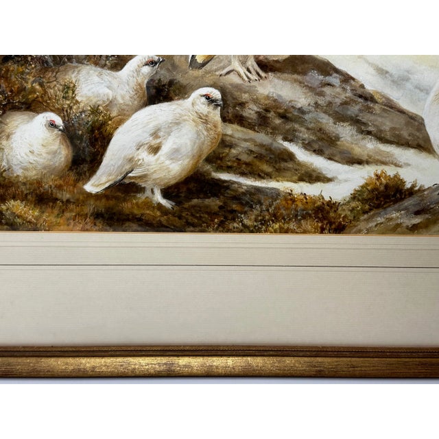 Ornithology Watercolor Highland Moors Wildlife Covey of Ptarmigan Game Birds by Neil Cox For Sale - Image 10 of 12