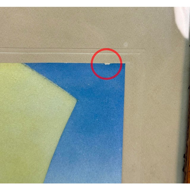 Antique 1906 Maxfield Parrish Prince Codadad Framed Lithograph - 15x20 For Sale - Image 9 of 12