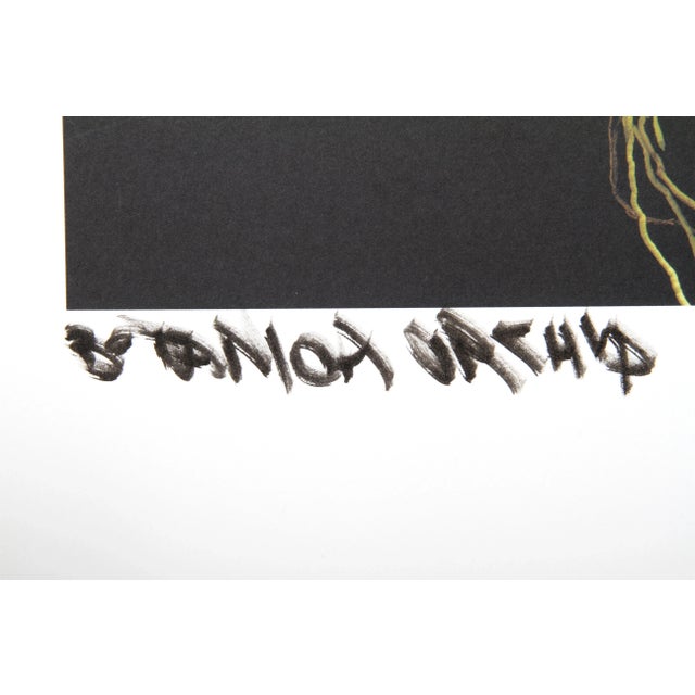 Small Orchids from Botanica Jonathan Singer American (1949–2019) Date: 2007 Photograph on Handmade Japanese Paper, signed...