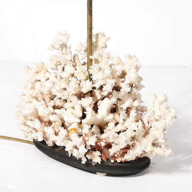 Mid-Century Modernist Coral Table Lamp With Walnut Base & Brass Fittings For Sale In New York - Image 6 of 10